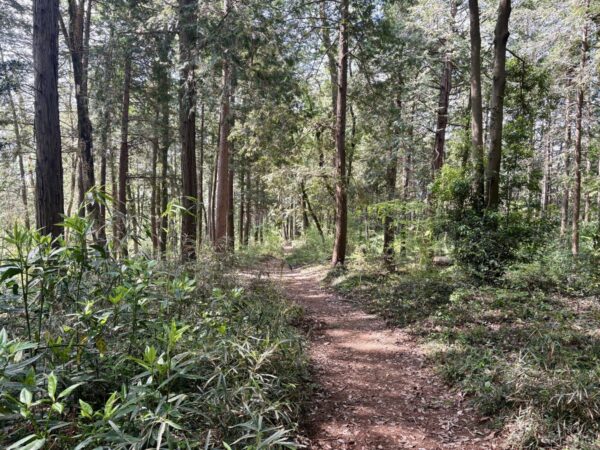 天覧山方面へ