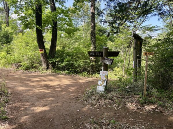 分岐に以前はなかった「神久山」の案内標識が設置されていた。ヤマノススメのおかげで、訪れる人が増えたのだろうか