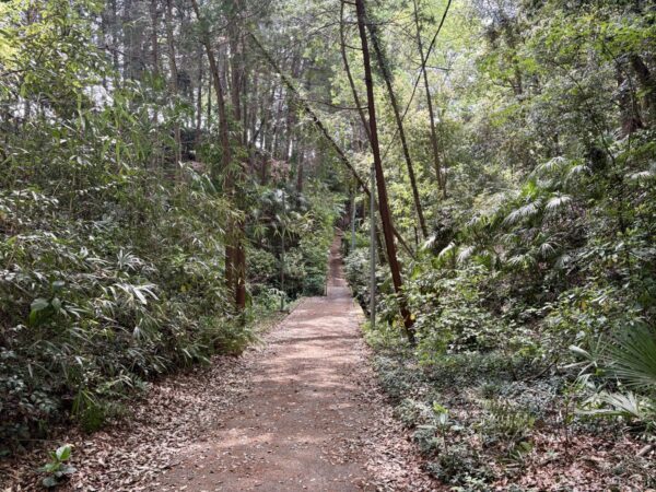 少しディープな雰囲気の諏訪沢を抜けて観音寺の裏手へ