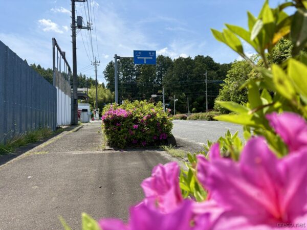 飯能駅南口から美杉台通りを南下し、岩渕交差点へ