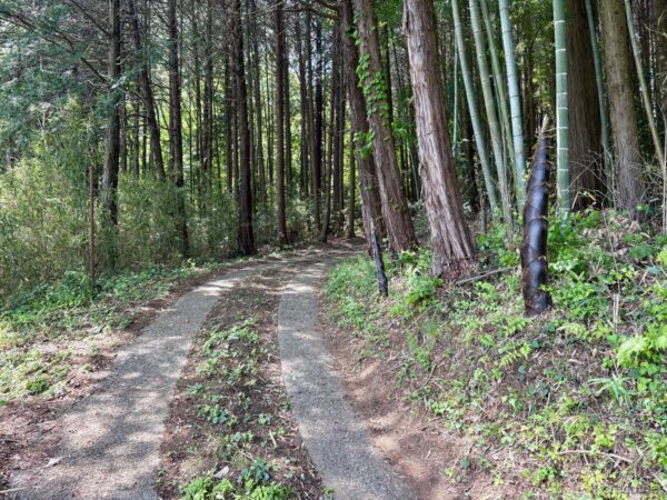 住宅街を抜けて山道へ