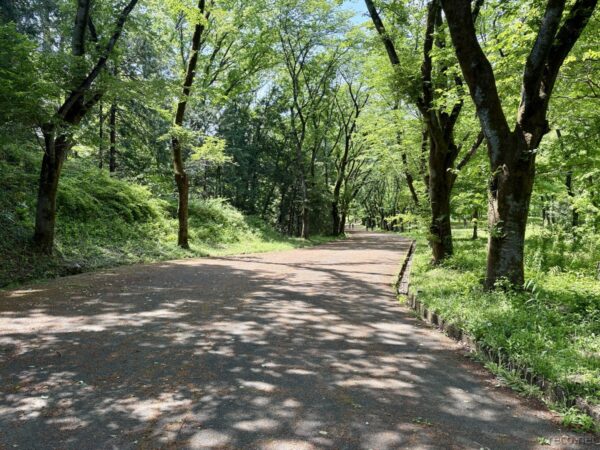 ハイキング用に寄付されたというアスファルトの道。整備されすぎていてハイキングの醍醐味としては物足りない