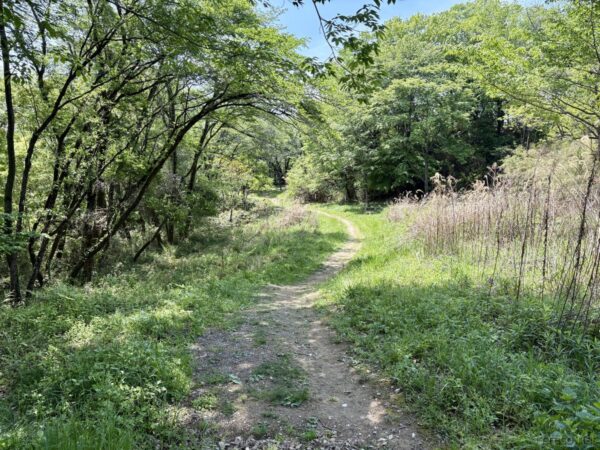 霞丘陵自然公園への道