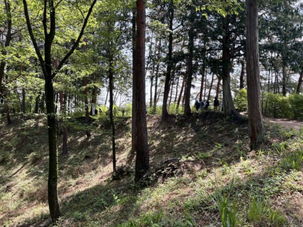 コンクリのくたびれ具合が絶妙な味を出している霞丘陵展望所