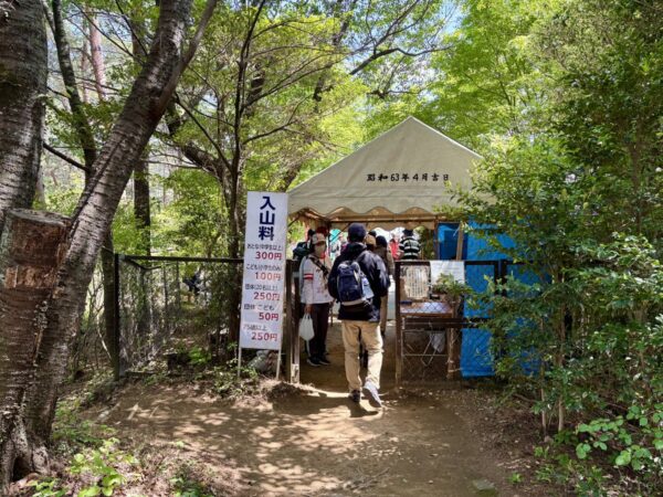 塩船観音ではつつじまつりが開催されており、入山料300円を払い境内へ