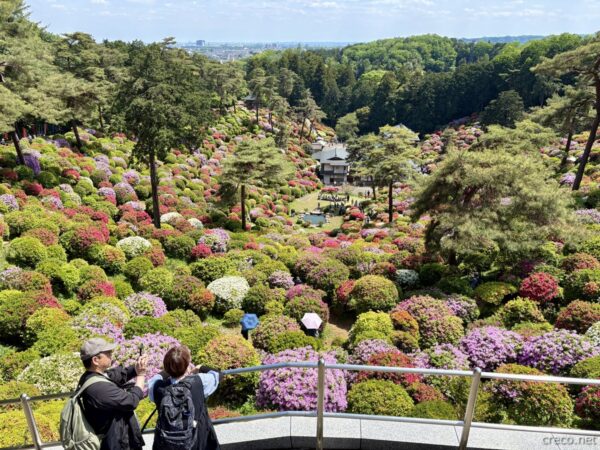 展望台からは、見頃を迎えたつつじ園の全景と青梅の街並みが一望できる