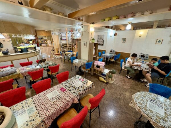 猫カフェ「小貓花園」の店内全景。赤や青の椅子と柄物のテーブルクロスが並ぶ雑然とした空間で、奥のカウンターや棚には小物が飾られ、客が思い思いに過ごしている。