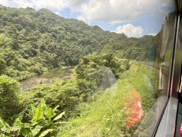 走行中の列車の窓から見た渓谷。深い緑の山肌の谷底に川が流れ、線路脇に草木が茂る。窓ガラスに車内が映り込んでいる。