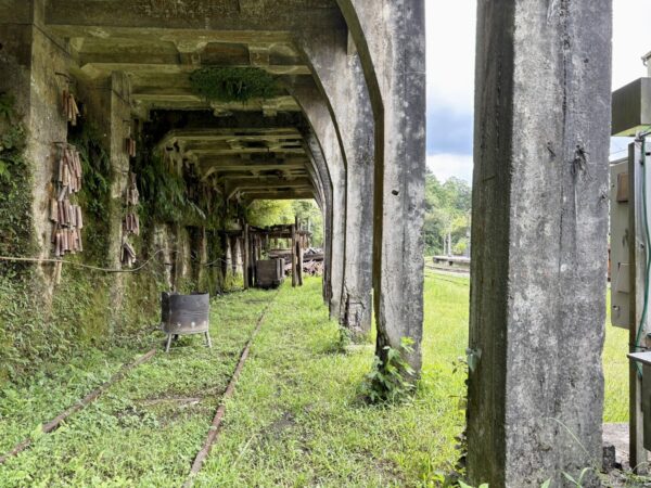 菁桐の旧選炭場遺構の内部。コンクリートの柱とアーチが連なる薄暗い構造物の中を線路が延び、緑の草に覆われている。奥に山の緑と曇り空。