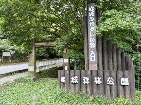 前橋市の赤城森林公園の入り口に立つ木組みの標識。「赤城ふれあいの森 入口」と大きく刻まれ、奥に木製の門柵と小橋が見える。濃い夏の緑に囲まれた一角。