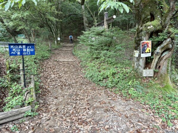 荒山高原への登山口。「荒山・鍋割山 登山口」の青い道標が立ち、落ち葉の積もった林の道を登山者が一人進む。右手に幹が空洞化した古木とクマ注意の掲示。