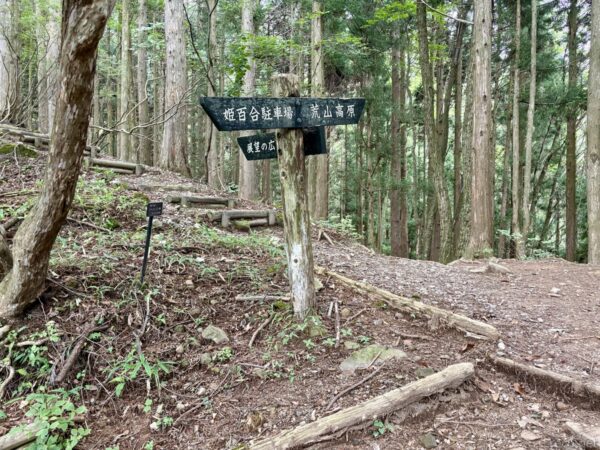 杉林の中の登山道の分岐に立つ木製道標。「姫百合駐車場」「荒山高原」の方向を示し、斜面には丸太で組んだ階段。針葉樹がまっすぐ立ち並ぶ荒山高原への道。