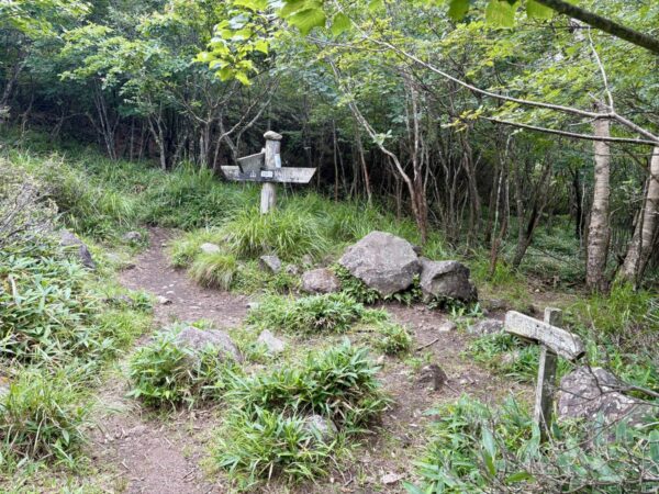 荒山高原付近の登山道の分岐。木製の古い道標が立ち、草地に大きな岩が転がる。右手には倒れかけた小さな標識も見える開けた地点。