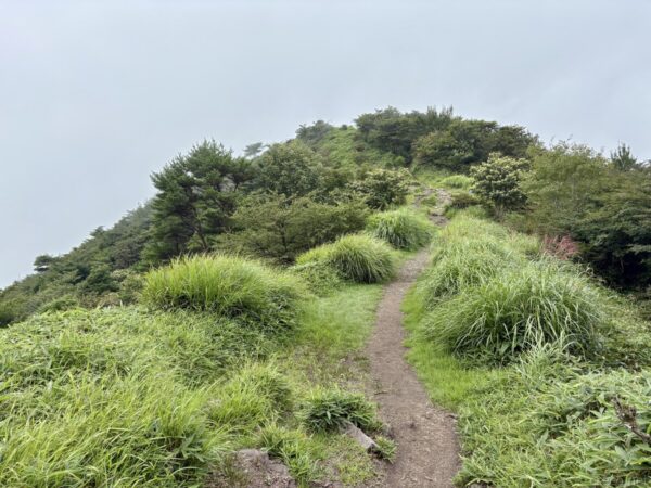 草に覆われた稜線のこぶを越える細い登山道。低木と笹が茂り、空はガスで白く霞む。火起山へ向かう開けた尾根道。